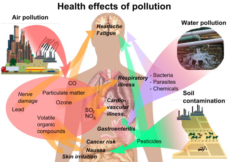 health effects of air pollution on humans, effects of air pollution 
