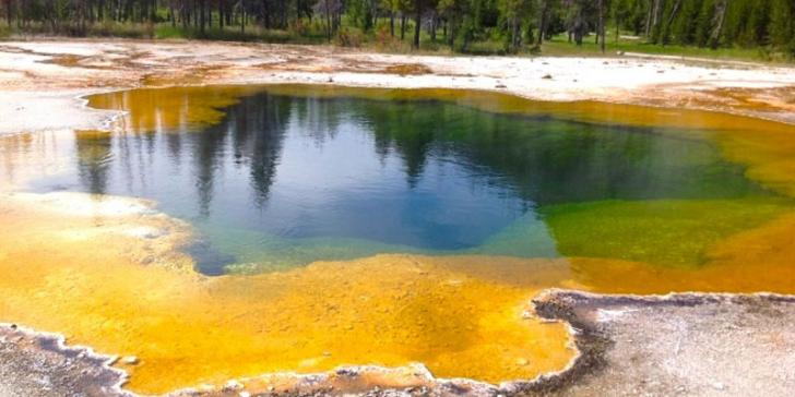 archaea-in-lake