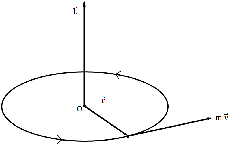 Figure to demonstrate angular momentum in Physics
