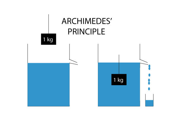 Some amount of water spills out when we immerse a stone of 1 kg in a bucket filled with water.