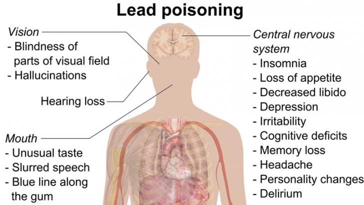 Various affects of lead on human body 