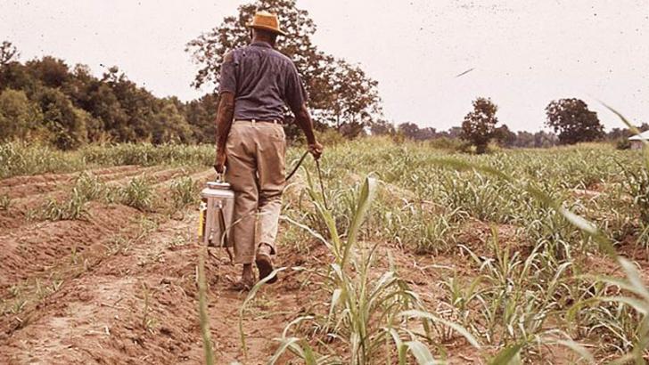 man using pesticide