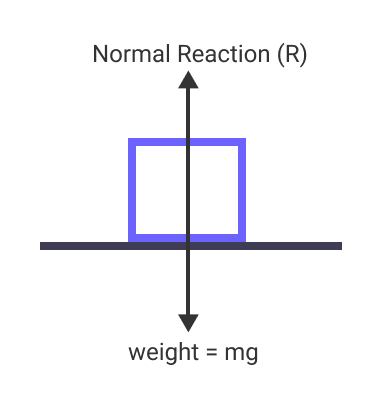 The normal reaction of the body is balanced by its weight when no external force is applied.